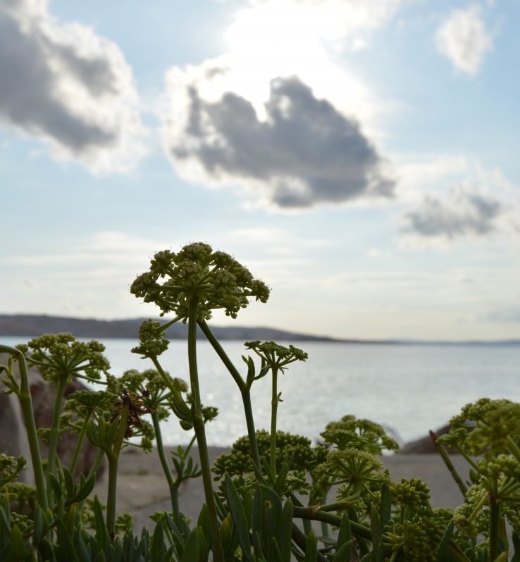 beach1